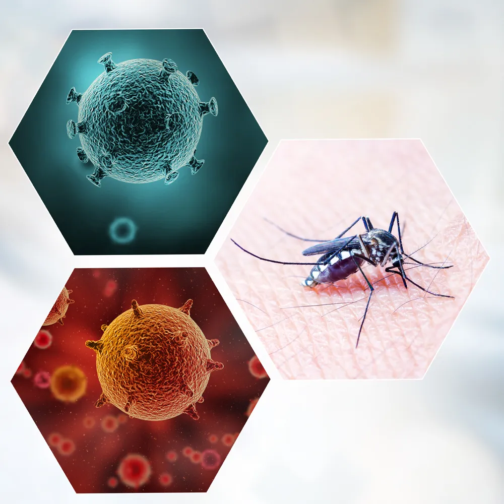 apr85-2ah2k HIV-HCV-HBsAg-TP Combo Whole Blood/Plasma/Serum Test